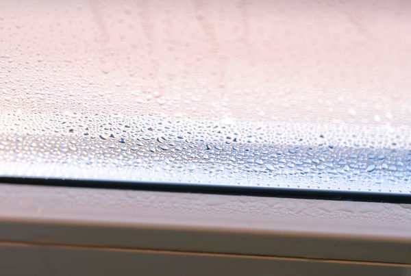 10 efektyvių būdų, kaip sumažinti drėgmę namuose ir išvengti pelėsio