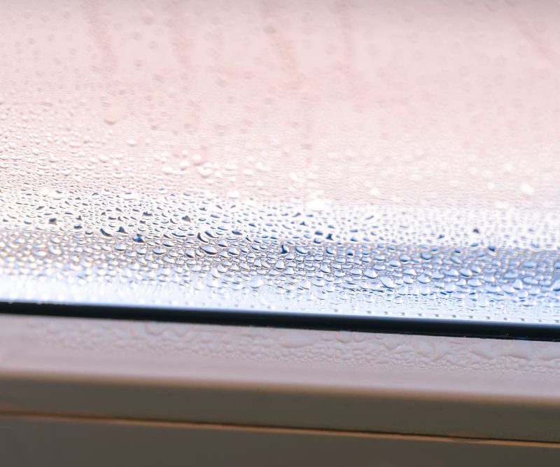 10 efektyvių būdų, kaip sumažinti drėgmę namuose ir išvengti pelėsio