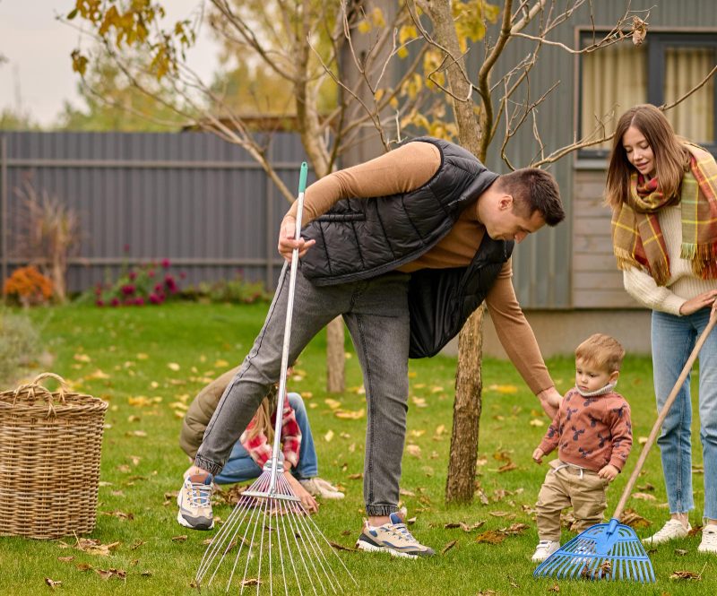 Kaip atlikti sodo priežiūrą rudens sezonu: svarbiausi darbai ir patarimai
