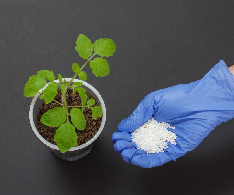 Kaip natūraliai tręšti daržą: kompostas, pelenai, dilgėlių trąšos