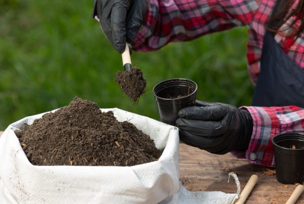 Kaip gaminti natūralias trąšas ir pesticidus iš kiemo atliekų