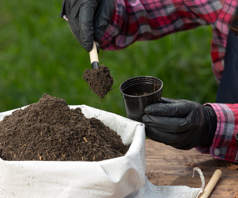 Kaip gaminti natūralias trąšas ir pesticidus iš kiemo atliekų