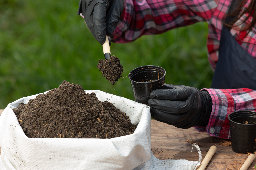 Kaip gaminti natūralias trąšas ir pesticidus iš kiemo atliekų