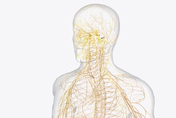 Nervų sistema: kaip atsipalaiduoti per 5 minutes dienoje meditacijos pagalba
