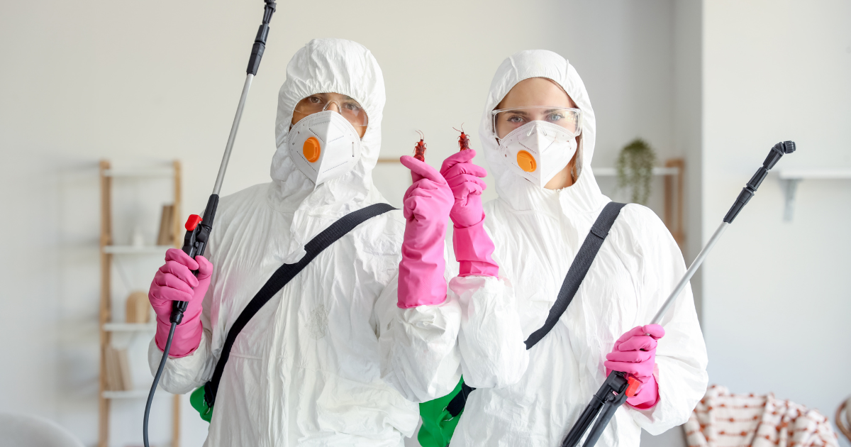 Sezoninis kenkėjų aktyvumas Lietuvoje ir kada geriausia imtis prevencijos?